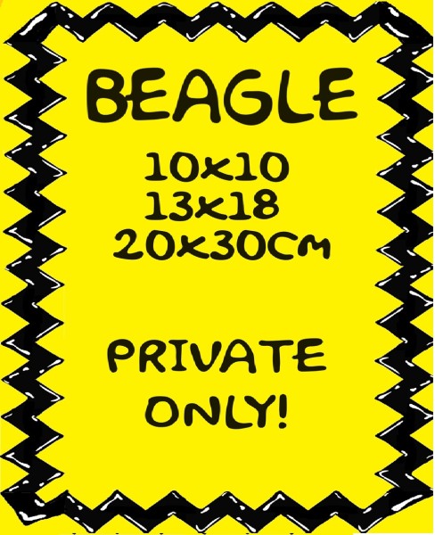 ♥BEAGLE♥ PRIVATE only EMBROIDERY Stickmuster 10x10 13x18 20x30cm